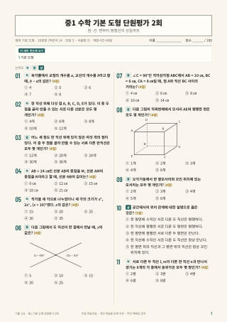 문제 미리보기